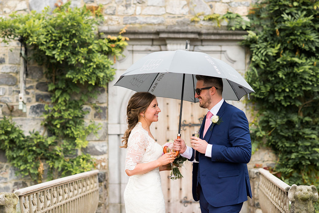 Nicola Webster Wedding Cliff at lyons Photography Dublin Ireland