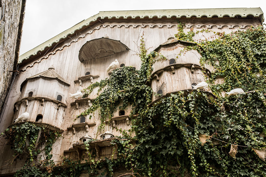 Nicola Webster Wedding Cliff at lyons Photography Dublin Ireland