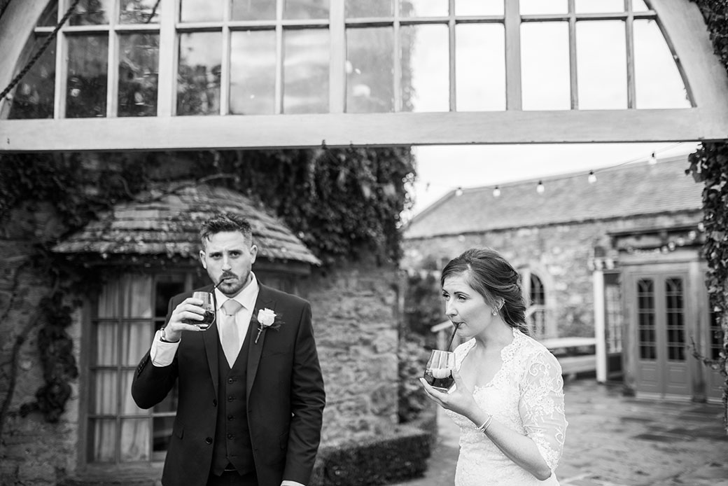 Nicola Webster Wedding Cliff at lyons Photography Dublin Ireland