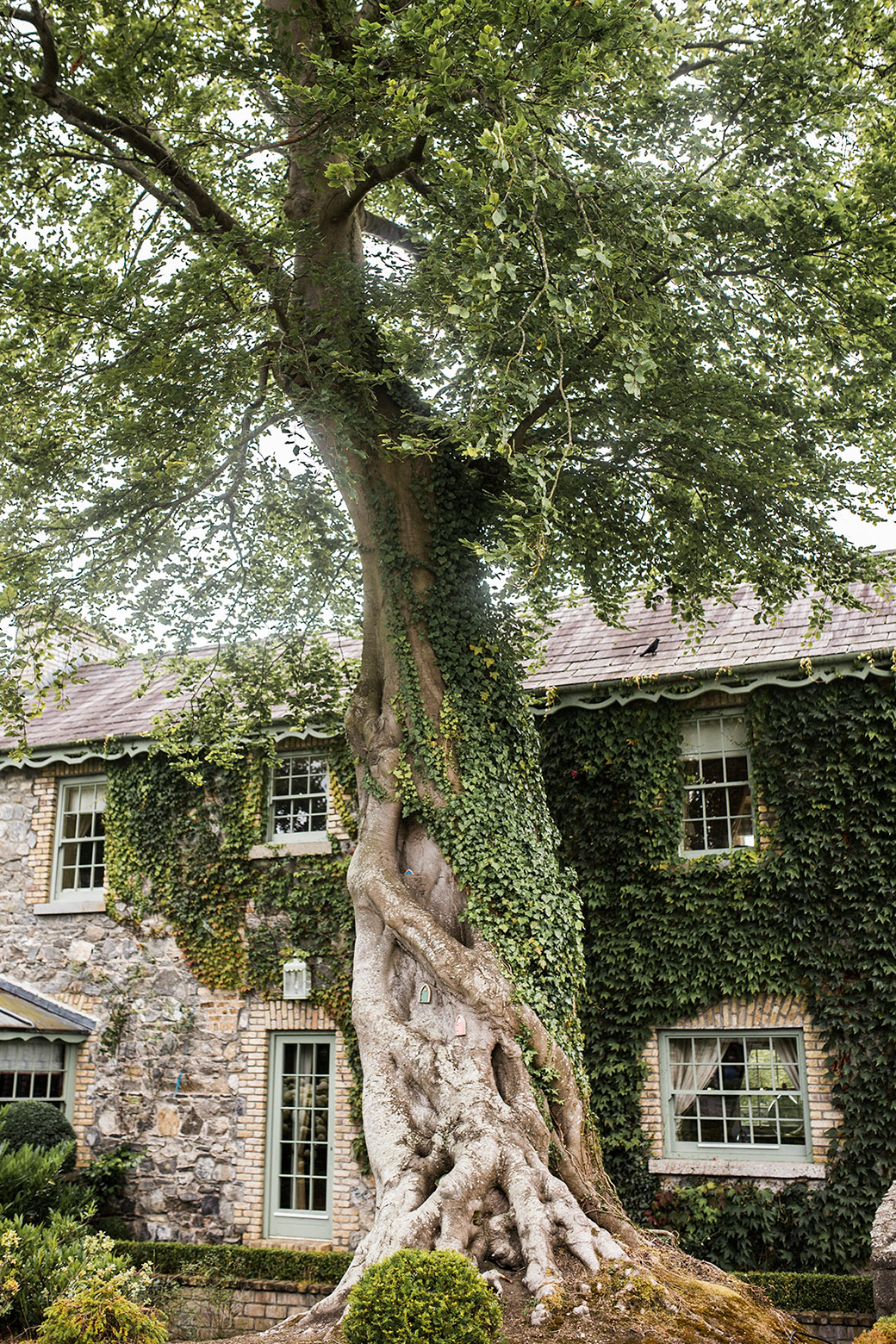 Nicola Webster Wedding Cliff at lyons Photography Dublin Ireland