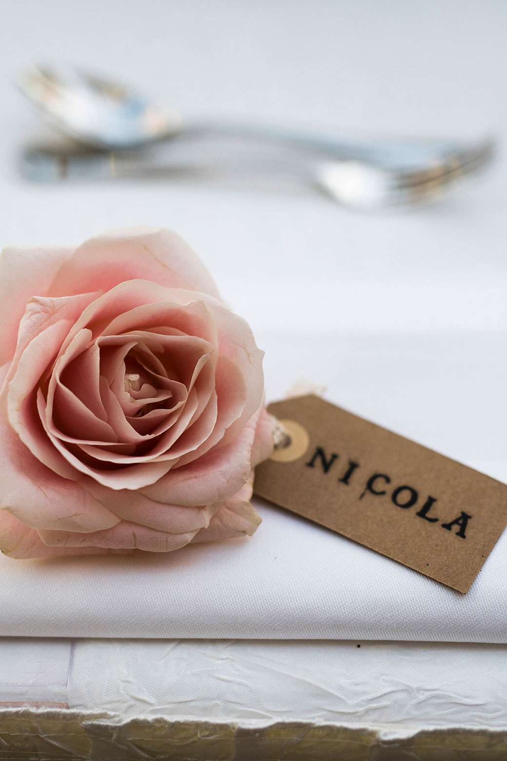 Nicola Webster Wedding Tankardstown House Photography Dublin Ireland
